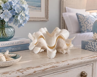 Double Squamosa Rare Clam Shell - White/Pale Peach Fluted Clam Seashell -Beach Wedding- Rare Exotic Shells - Coastal Home Decor -Beach House