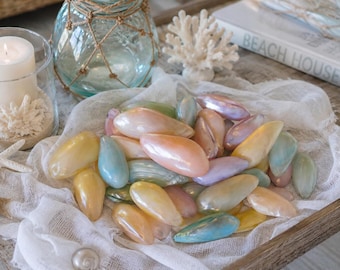 Dyed Small Mussel Shells (5 PC) - Pearlized Mussel Shell - Seashell Supply - Beach Wedding -Craft Seashells -Coastal Home Decor -Beach House