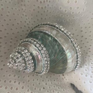 May include: A spiral seashell with a pearlescent, light green and white surface, decorated with rows of clear, sparkling rhinestones along the ridges and the pointed tip, creating a reflective and textured appearance on the shell's exterior.