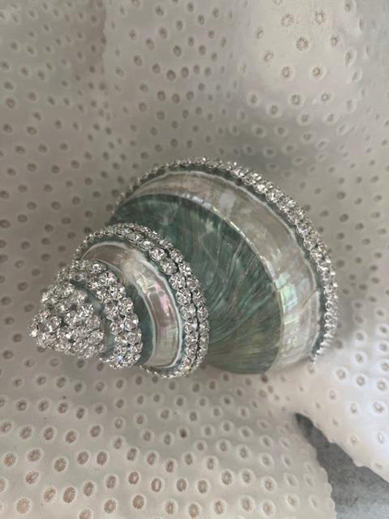 May include: A spiral seashell with a pearlescent, light green and white surface, decorated with rows of clear, sparkling rhinestones along the ridges and the pointed tip, creating a reflective and textured appearance on the shell's exterior.