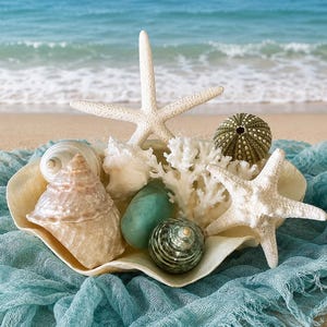 Natural Capiz Shell Fluted Bowl with Seashells Starfish & Coral-Coastal Home Decor-Wedding Decor- Holiday Centerpiece-Bath Decor-Beach Decor