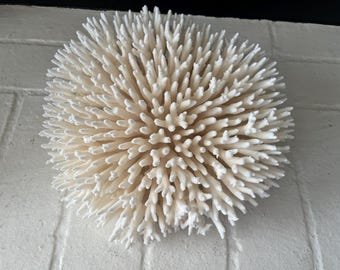 Table Coral – Natural White Real Coral – CHOOSE Your Size – Coastal Home Decor – Beach Decor – Coral Centerpiece – Beach Wedding