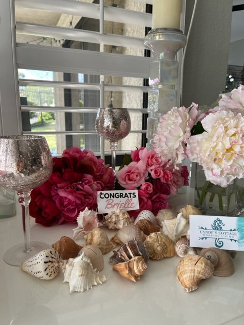 10/20/50/100 Seashell Place Card Holders Beach Weddings Etsy