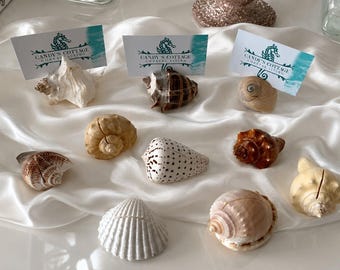 Real Seashell Place Card Holders - 10/20/50/100 - NEW STYLES ADDED! - Beach Weddings -Bridal Showers -Baby Showers -Engagement -Dinner Party