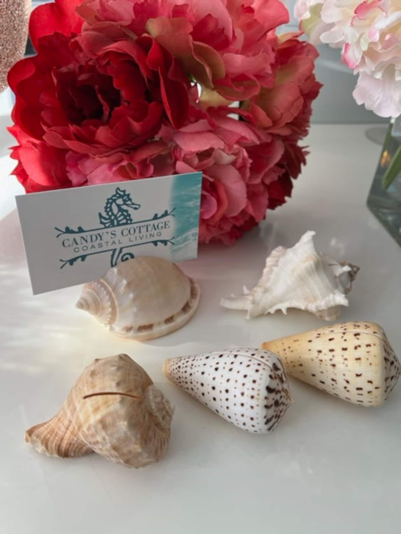 10/20/50/100 Seashell Place Card Holders Beach Weddings Etsy