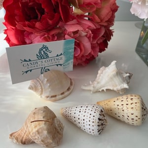 Seashell Place Card Holders 10/20/50/100 Beach Weddings Bridal Showers Parties Baby Showers Engagement Dinner Party Cards image 3