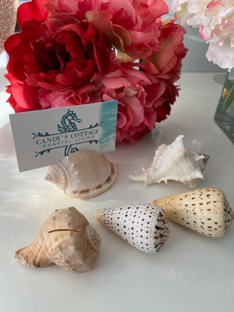 Seashell Place Card Holders 10/20/50/100 Beach Weddings Bridal Showers Parties Baby Showers Engagement Dinner Party Cards image 3