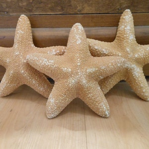 Op de afbeelding: Drie grote, bruinbeige zeesterren met een textuur en witte spikkels liggen op een licht houten oppervlak. De zeesterren hebben vijf punten en lijken decoratieve items te zijn, mogelijk voor een kustthema.