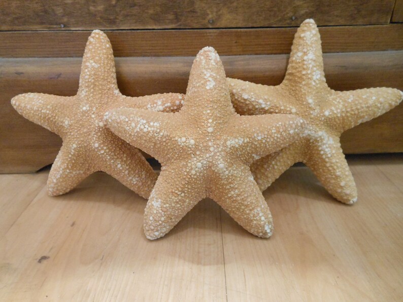 Op de afbeelding: Drie grote, bruinbeige zeesterren met een textuur en witte spikkels liggen op een licht houten oppervlak. De zeesterren hebben vijf punten en lijken decoratieve items te zijn, mogelijk voor een kustthema.