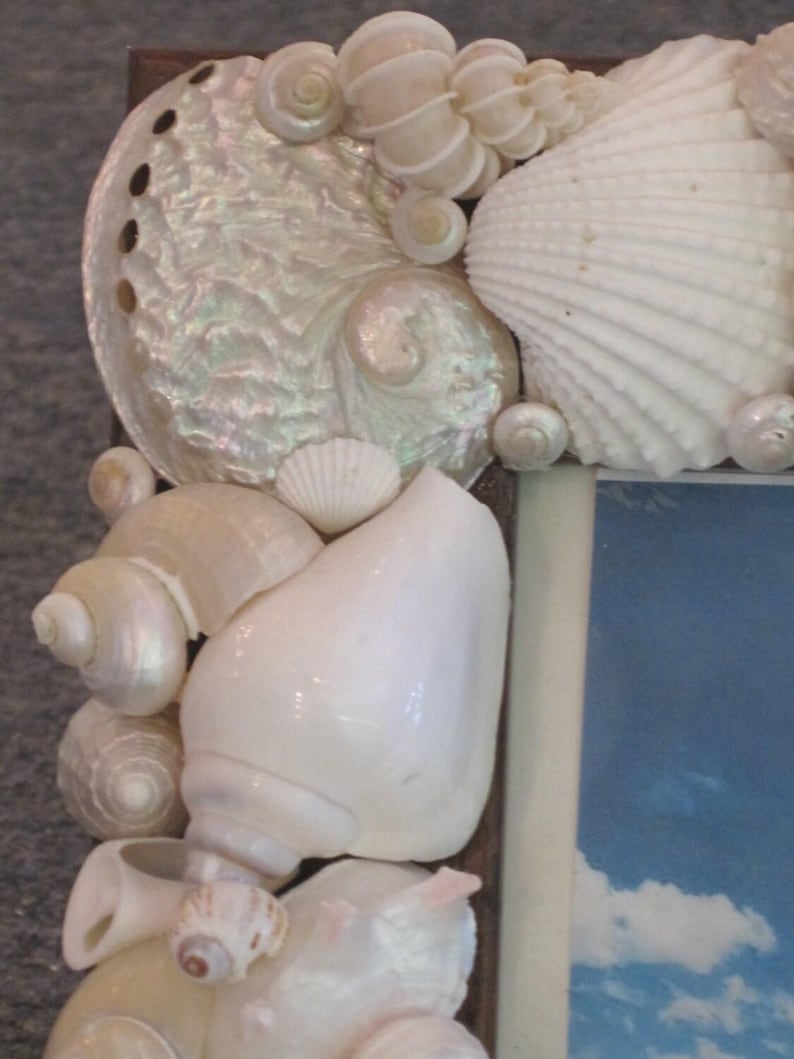 Wight Shell Frame Beach Decor White Seashell Picture Frame - Shell Frame - White Shell ...