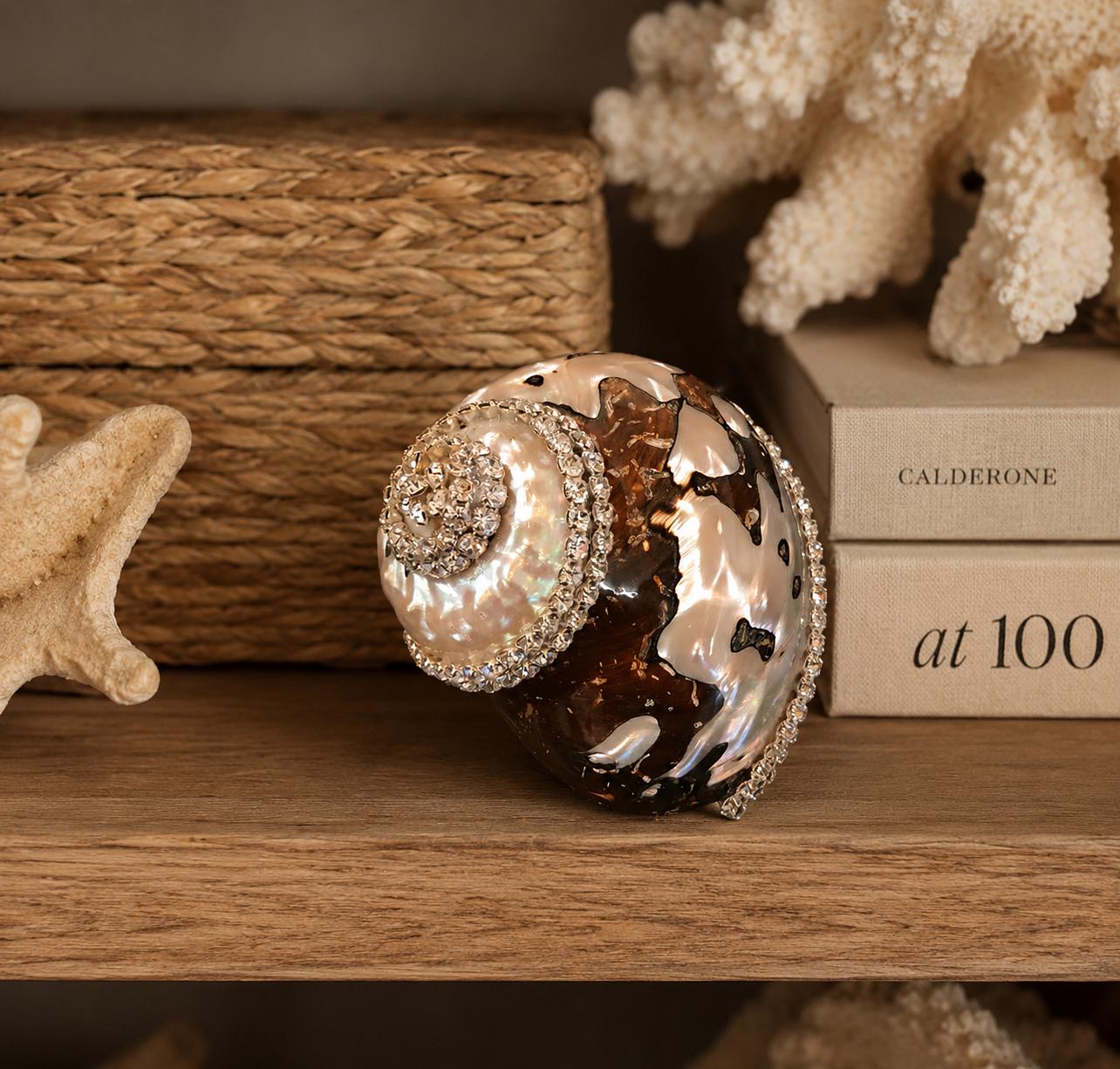 Embellished Turbo Sarmarticus Shell With Swarovski Crystals