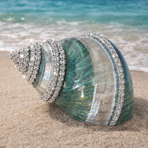 May include: A large, polished sea shell with a deep teal and iridescent white gradient surface. The shell is decorated with multiple rows of sparkling, clear rhinestones that follow the natural spiral ridges and the outer edge of the shell.