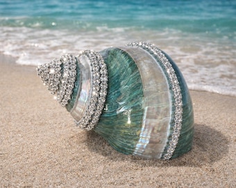 Embellished Polished Green Banded Snail Shell with Swarovski Crystals - Coastal Home Decor - Seashells - Beach Wedding - Centerpiece - Gift