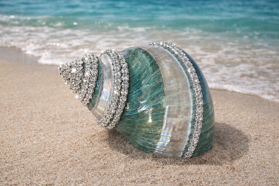 Embellished Polished Green Banded Snail Shell with Swarovski Crystals - Coastal Home Decor - Seashells - Beach Wedding - Centerpiece - Gift