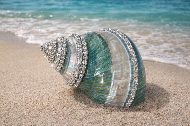 May include: A large, polished sea shell with a deep teal and iridescent white gradient surface. The shell is decorated with multiple rows of sparkling, clear rhinestones that follow the natural spiral ridges and the outer edge of the shell.