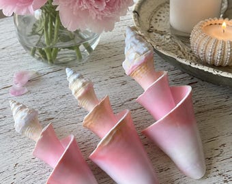 Spiral Cut Pink Conch Shell - Coastal Home Decor - Seashells - Beach Wedding - Shell Display - Pink Shells - Beach House Decor - Girls Room