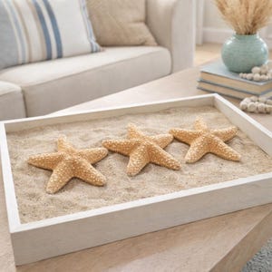 Jungle Starfish 4-5" (3 stuks) - echte zeester - stranddecor zeester - schelpendisplay - nautisch decor - strandbruiloft - kusthuisdecor afbeelding 3