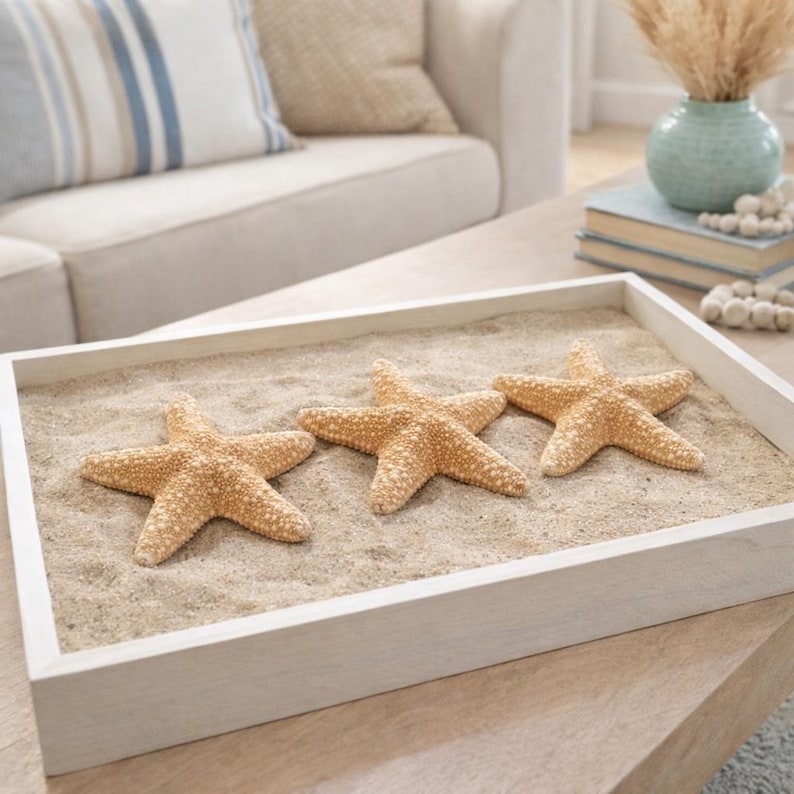 Jungle Starfish 4-5" (3 stuks) - echte zeester - stranddecor zeester - schelpendisplay - nautisch decor - strandbruiloft - kusthuisdecor afbeelding 3