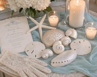 White Shell Wedding Sampler Collection - Natural Seashells - White