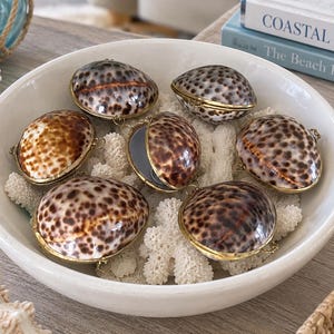 Puede incluir: Un conjunto de seis recipientes con forma de concha marina con bisagras y patrones de manchas marrones y negras, cada uno con un borde de metal dorado. Las conchas están dispuestas en un cuenco blanco sobre trozos de coral blanco, una entreabierta.
