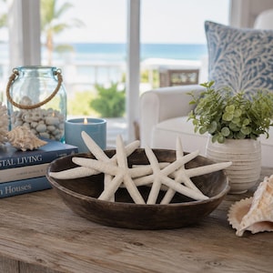 Decoración de playa con forma de estrella de mar blanca (4 piezas) - Estrellas de mar - Decoración costera para el hogar - Boda en la playa - Estrellas de mar - Estrellas de mar blancas - Seashell Supply