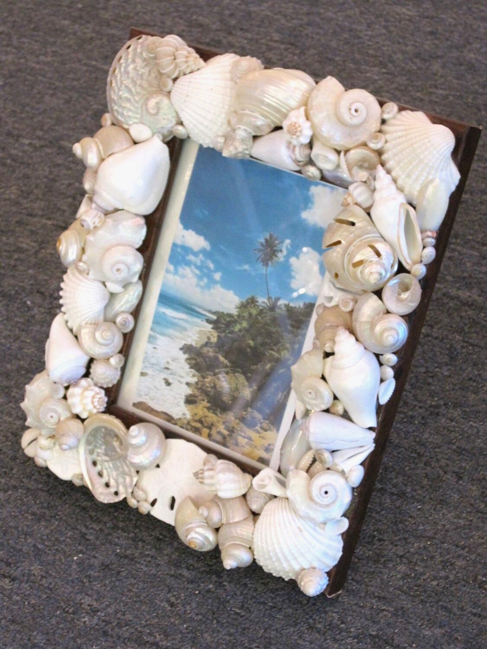 Beach Decor White Seashell Picture Frame - Shell Frame - White Shell ...