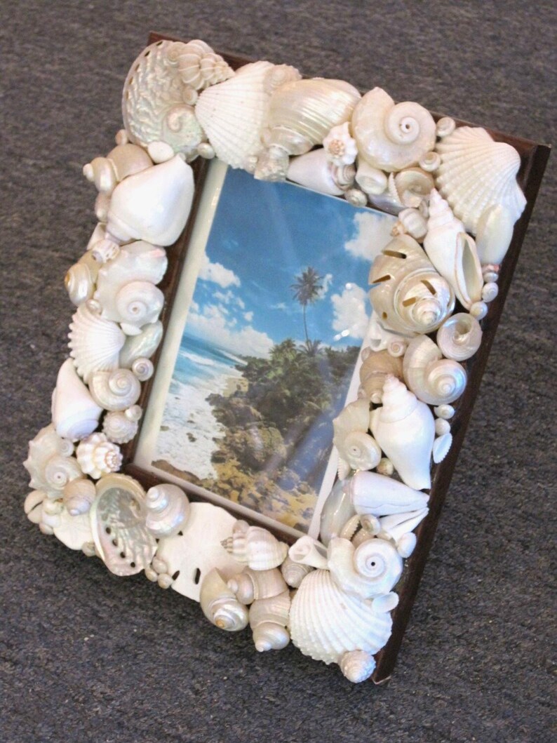 White Shell Photo Frame Beach Decor White Seashell Picture Frame - Shell Frame - White Shell ...