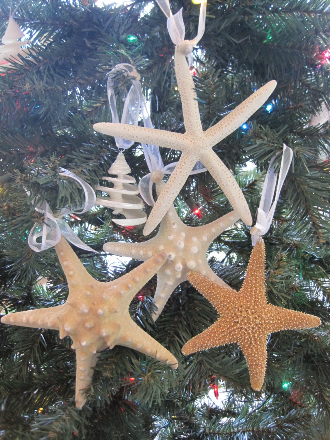 貝殻　ヒトデ　オーナメント　ナチュラル　クリスマス　クリスマスツリー　飾り　海 オーナメント 貝殻 ヒトデ クリスマスツリー 飾り ナチュラル
