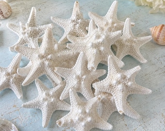 Bulk Imperfect Mini Knobby Starfish 1-2"- CHOOSE 25/50/100 - Real Tiny Knobby Starfish Seconds B Grade -Coastal Home- Parties -Beach Wedding