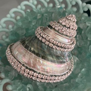 May include: A spiral seashell with a pearlescent, iridescent surface featuring bands of clear, sparkling rhinestones wrapped around its exterior. The shell displays natural shades of grey, green, and pink, accented by the reflective, faceted crystal trim.