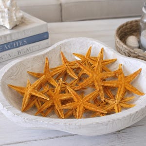 Deep Yellow Dyed Mini Starfish (10 pc) - Colored Mini Starfish - Colorful Yellow Starfish - Seashell Supply - Craft Seashells -Beach Wedding