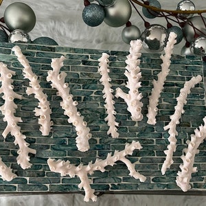 Beach Decor Real Octopus Coral Pieces - Coral - Seashells - Beach Decor - Coastal Home Decor - Natural Coral - White Coral - Beach Wedding