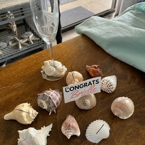 Seashell Place Card Holders 10/20/50/100 Beach Weddings Bridal Showers Parties Baby Showers Engagement Dinner Party Cards image 6