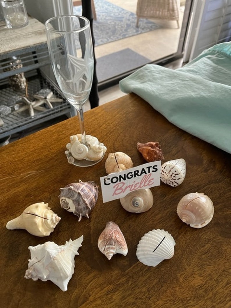 Seashell Place Card Holders 10/20/50/100 Beach Weddings Bridal Showers Parties Baby Showers Engagement Dinner Party Cards image 6