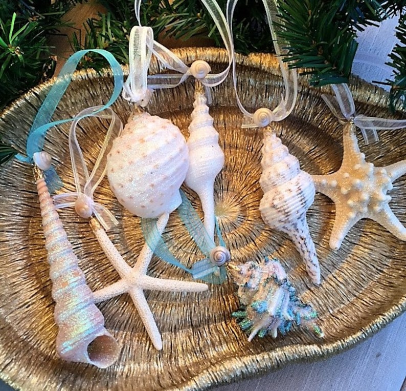 Beach Decor Christmas Seashell Ornament Set 7PC Seashell & Etsy