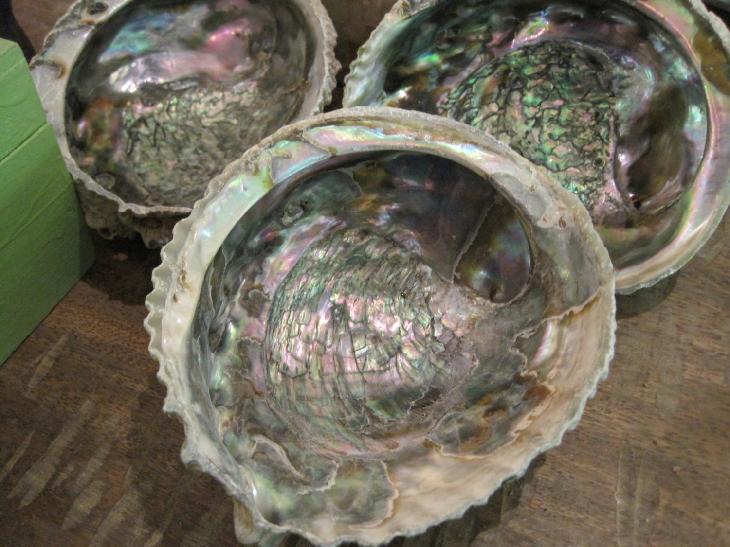 Rainbow Pink Abalone Seashell 1 Large Abalone Shell Etsy
