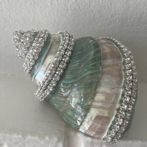 May include: A large spiral seashell featuring a natural iridescent finish with shades of teal, green, and cream. The shell is decorated with multiple rows of clear, sparkling rhinestones wrapped around the exterior ridges and the base edge.