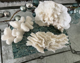 Beach Decor Natural (Real) Assorted White Corals - White Coral - Natural Coral - Coastal Home Decor - Centerpieces - Beach Wedding - Accents