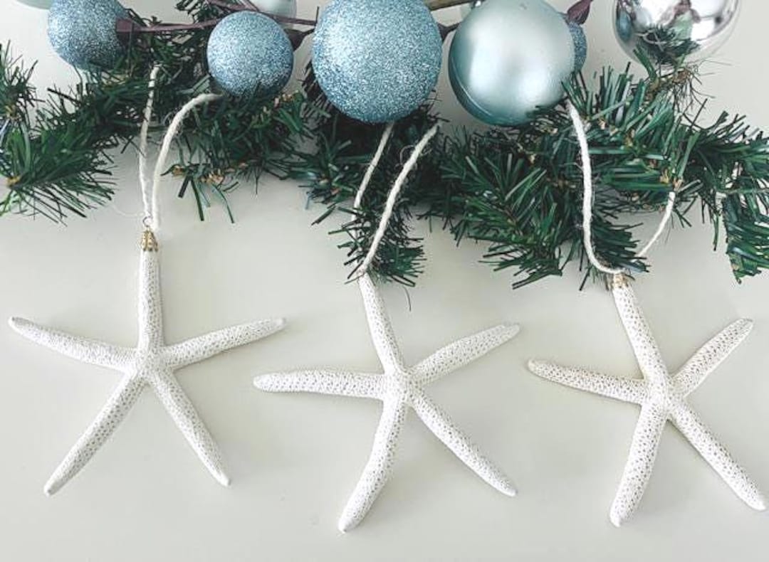 ビーチデコレーション ヒトデ クリスマスオーナメント (3個) - 本物の