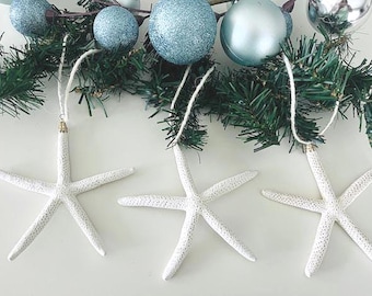 貝殻　ヒトデ　星　クリスマス　飾り　オーナメント　ガーランド　流木　もみの木 ビーチデコレーション ヒトデ クリスマスオーナメント (3個) - 本物の