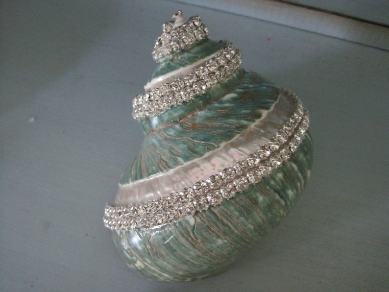May include: A spiral seashell featuring a natural green and white textured surface, embellished with multiple rows of clear, sparkling rhinestones that follow the natural curves and ridges of the shell from the pointed apex to the wide base.