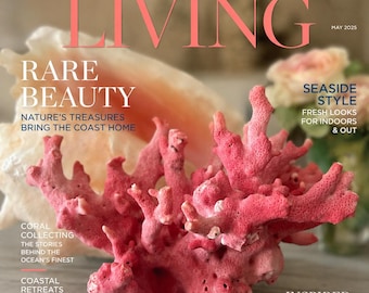 Pink Rose Coral - Rare Select Genuine Natural Coral -Beach Coastal Decor -Pink Coral -Coral Collection-Rare Specimen -Collector's Rare Coral