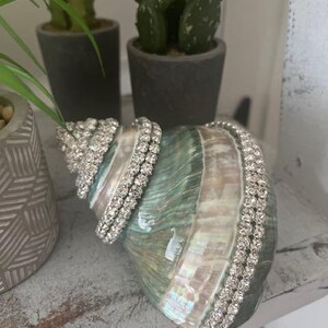 May include: A large conch shell featuring a smooth, iridescent surface with shades of green, blue, and cream. The shell is decorated with multiple rows of clear, sparkling rhinestones that follow the natural spiral and curves of the shell.