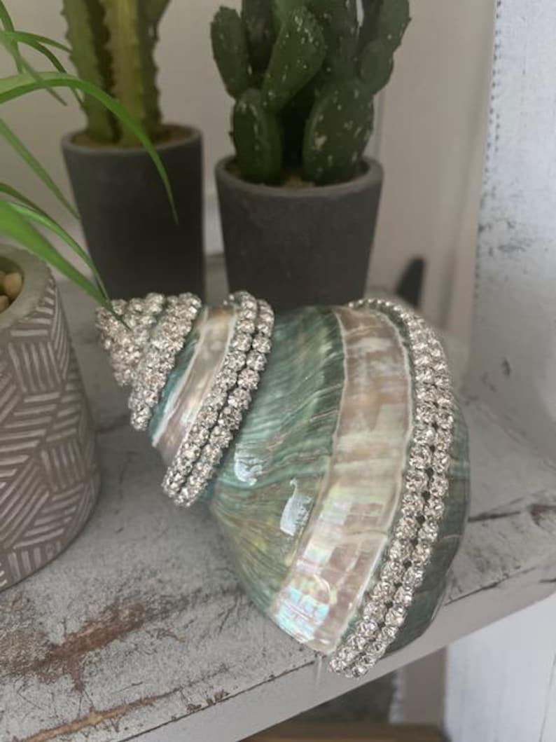 May include: A large conch shell featuring a smooth, iridescent surface with shades of green, blue, and cream. The shell is decorated with multiple rows of clear, sparkling rhinestones that follow the natural spiral and curves of the shell.