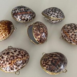 May include: Seven small, oval-shaped, decorative boxes made from seashells with brass accents. The boxes are closed and have a mottled brown and white pattern.