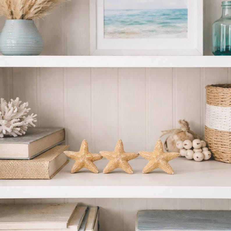 Op de afbeelding: Drie beige zeesterdecoraties op een witte plank. De plank bevat ook boeken, een vaas met gedroogde planten, een ingelijste foto van de oceaan en andere decoratieve items. Het algemene thema is kustdecoratie.