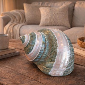 Beach Decor Large Polished Green Banded Snail Shell - Turbo Snail Shell - Seashells - Coastal Home Decor - Seashells - Beach Wedding image 3