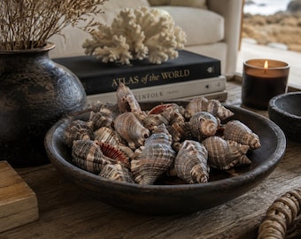 May include: A wooden bowl filled with various seashells, showcasing a range of colors and textures. The bowl sits on a wooden surface, alongside a dark vase with dried plants, books, and a lit candle, creating a coastal theme.
