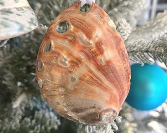 アスティエ　オーナメント　クリスマス 真珠　パール　貝 楽天市場】真珠 パール ネックレス 国産花珠貝パール 卒業式 入学式