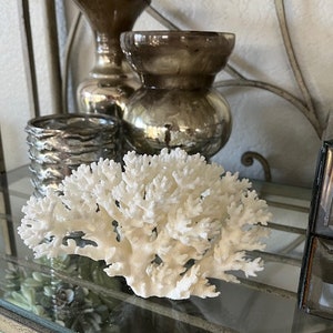 Puede incluir: Rama de coral blanco en un estante de vidrio con dos jarrones de plata antiguos y un candelero de plata.